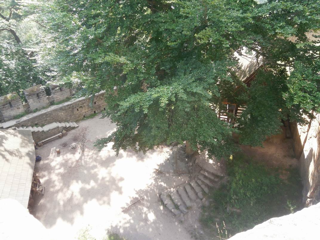 P7020106