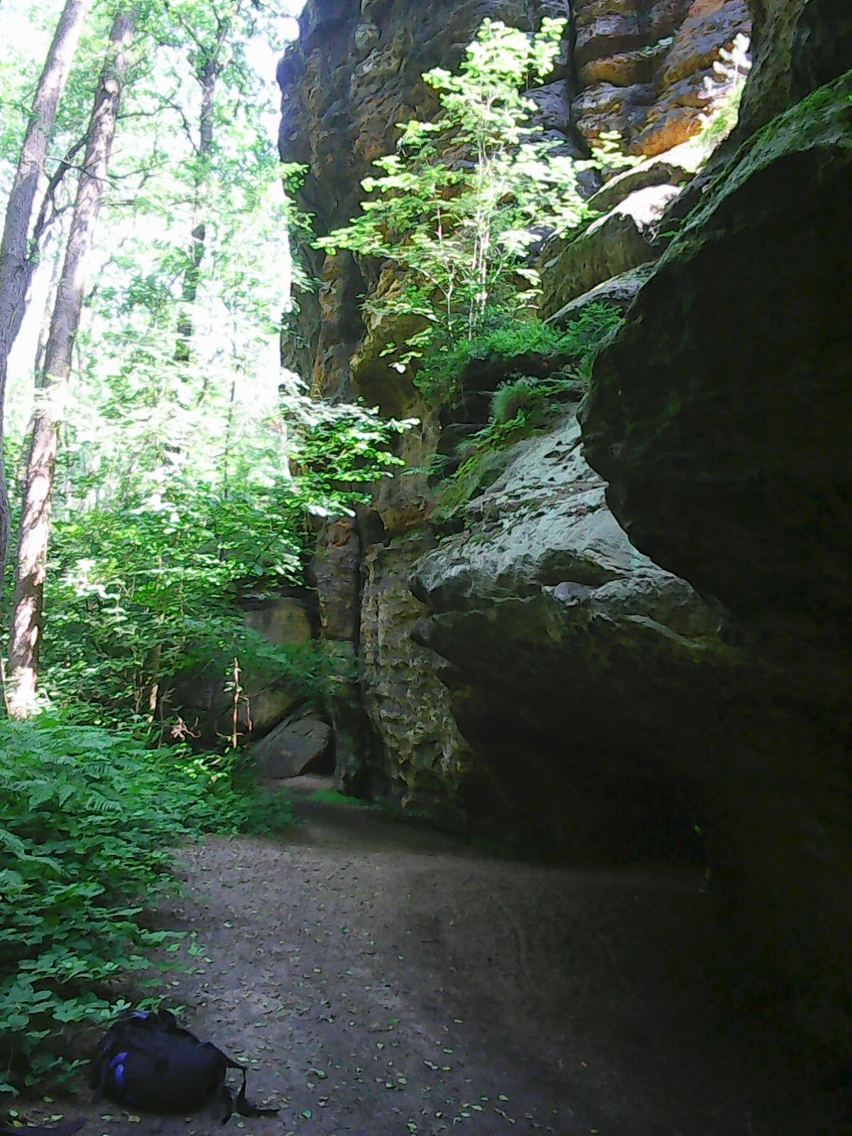 Photo0156